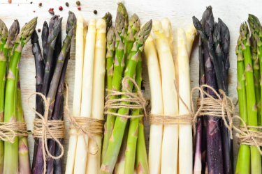 Capture d’écran 2024-06-03 113034