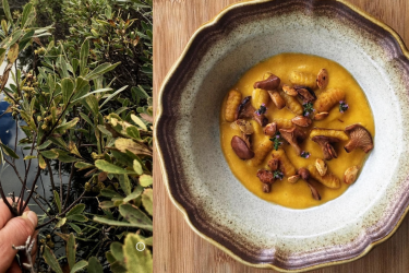 Capture d’écran 2024-11-28 154527