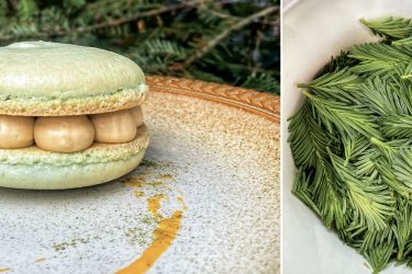 Capture d’écran, le 2024-12-09 à 15.29.34