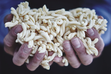 Capture d’écran, le 2025-03-04 à 14.56.07